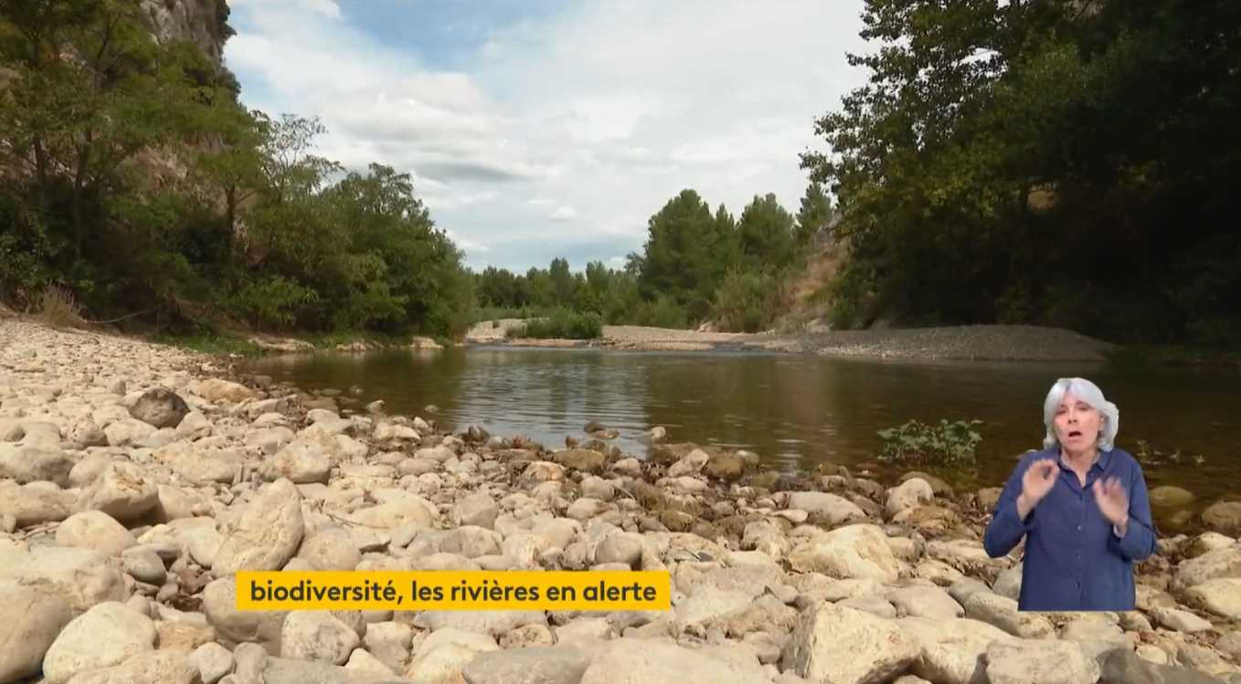 Biodiversité : plus de la moitié des rivières françaises n’est pas en bon état écologique